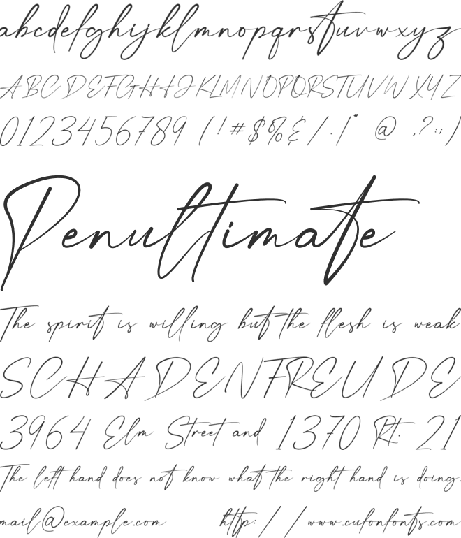 Anthonio Script font preview