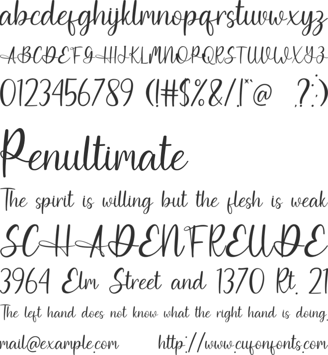 Bright Tropical font preview