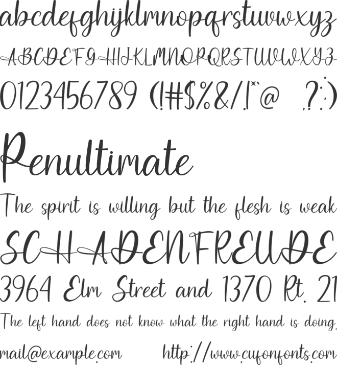 Bright Tropical font preview