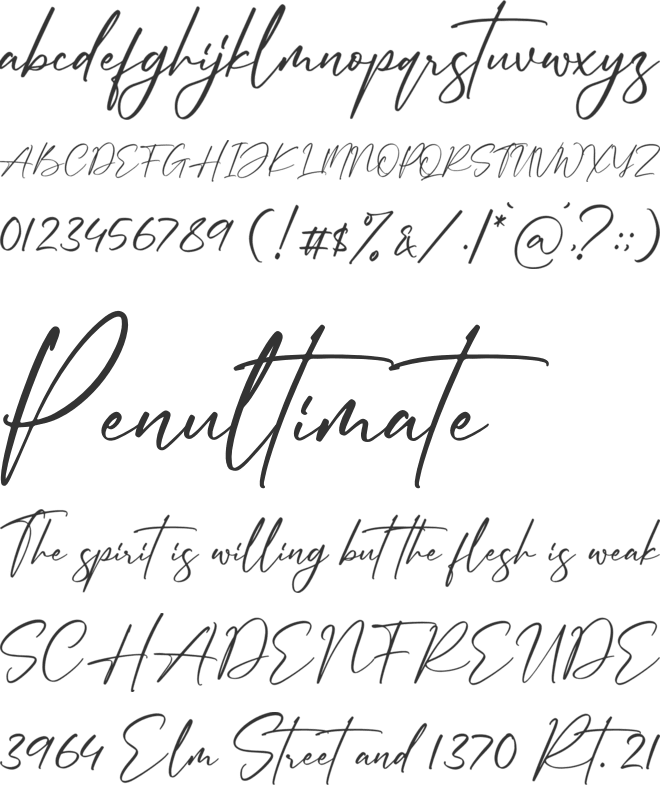 Andershon Magnolia font preview