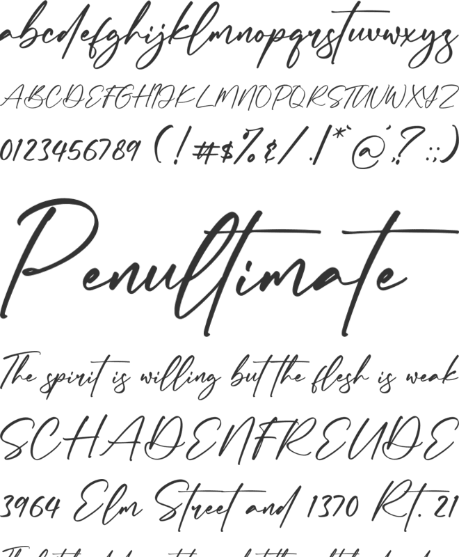 Abigaila Signature font preview