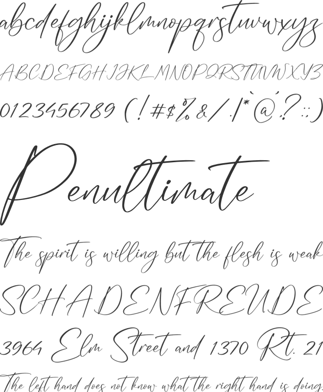 Magnolia Delmonte font preview