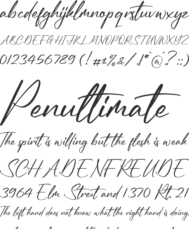 Reymonde Signature font preview