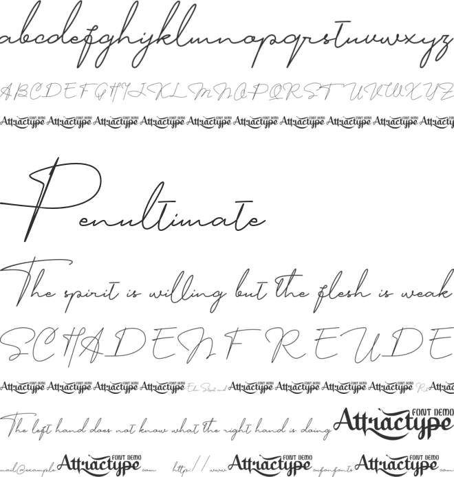 Signature_One font preview