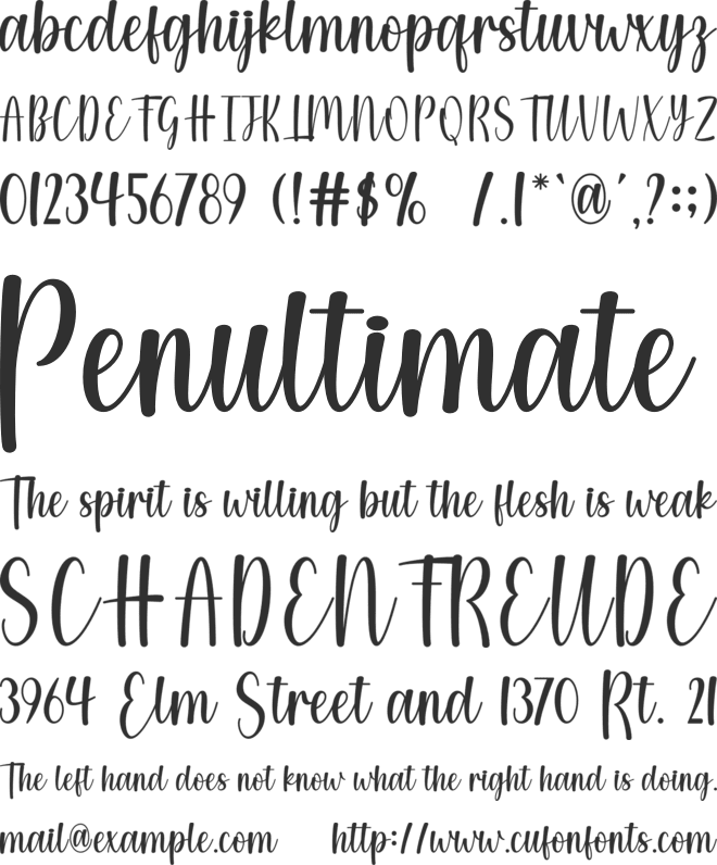 Wallflowers font preview