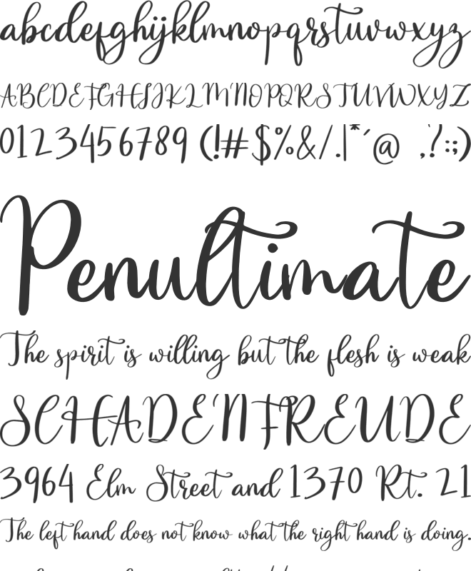 Zancook font preview