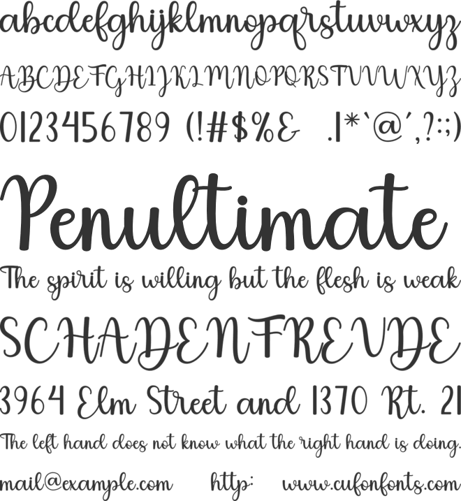 Butterfly font preview