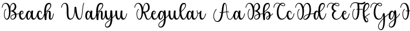 Beach Wahyu Regular font