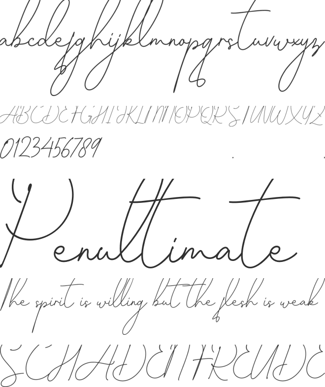 Nicollette Handwriting font preview