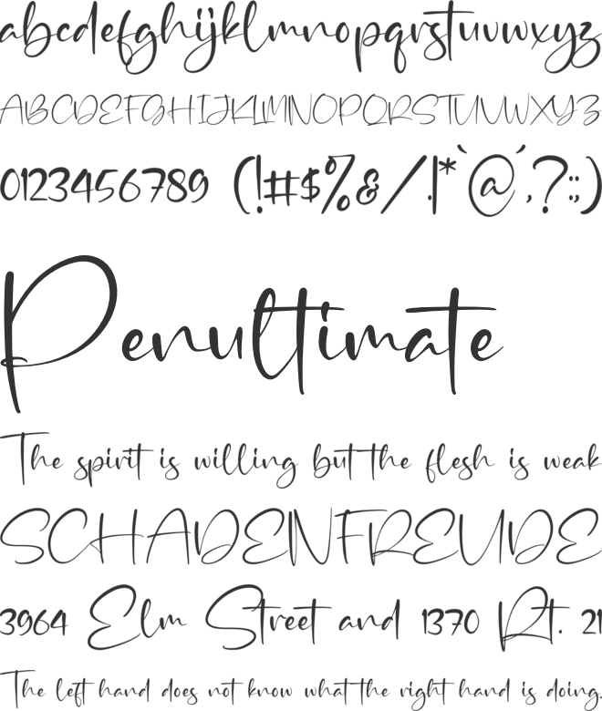 Andella font preview