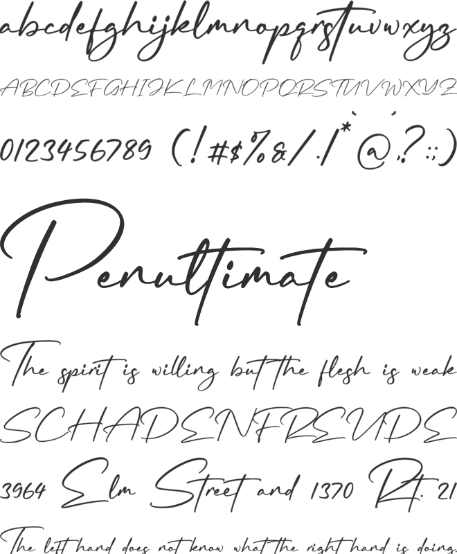 Rundreams Signature font preview