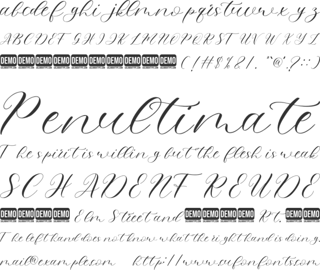 miss angel font preview