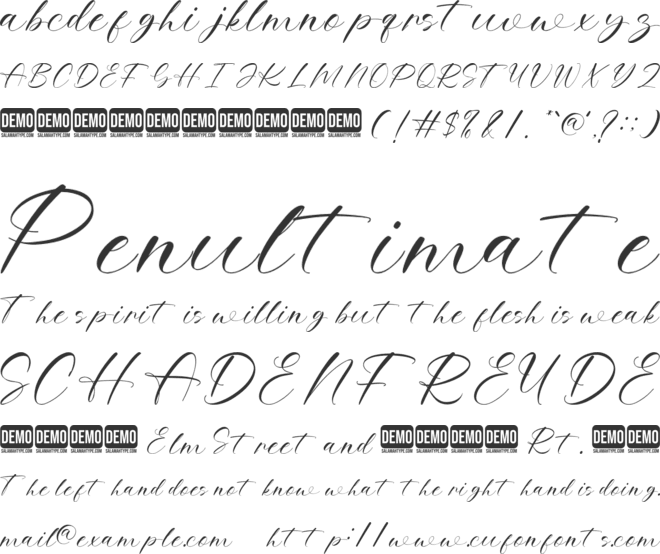 Royalina font preview