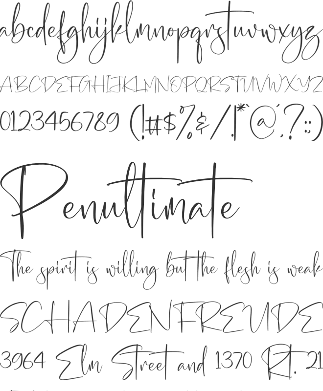 Georgia Western font preview