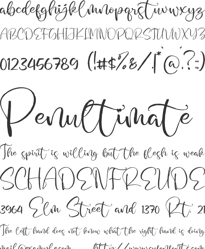 casandra belinda font preview