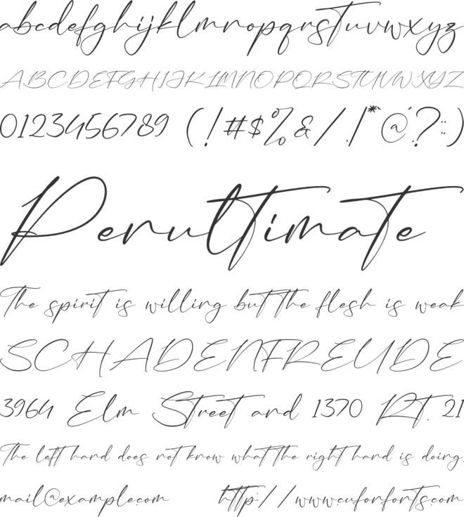 Anastasia Timothy font preview