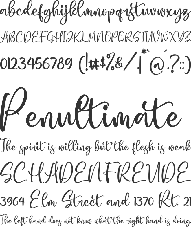 Carotta font preview