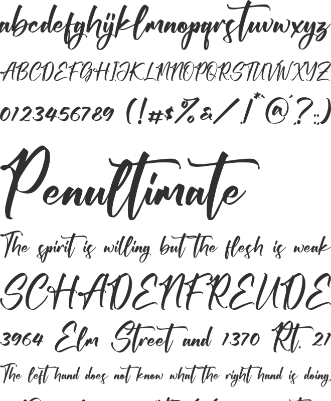 Victory Willkins font preview
