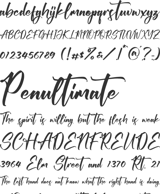Victory Willkins font preview