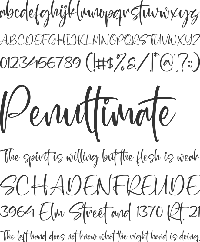 Wondelland font preview