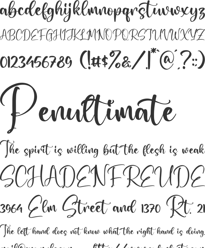 Bucket  Honey font preview