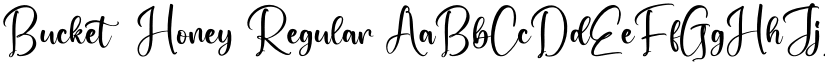 Bucket  Honey Regular font