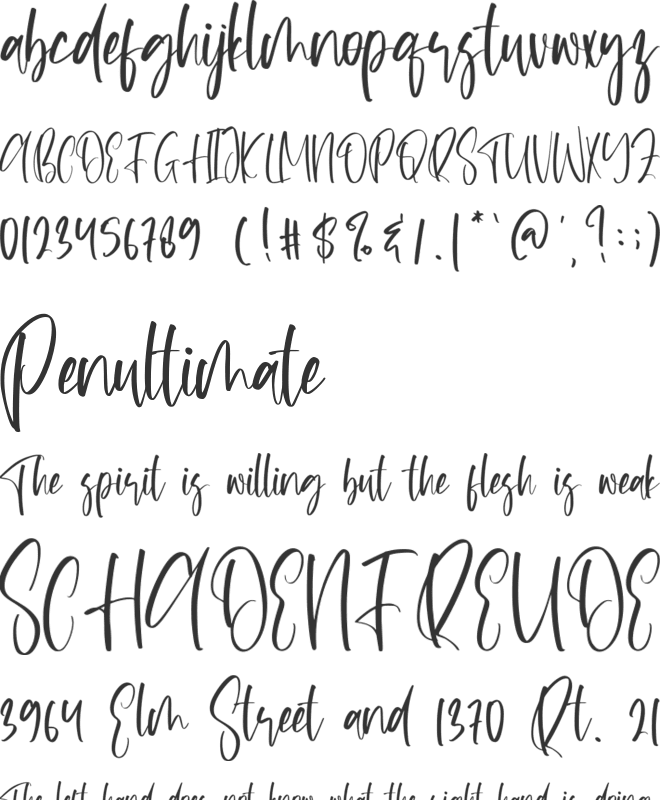 Toploftily font preview