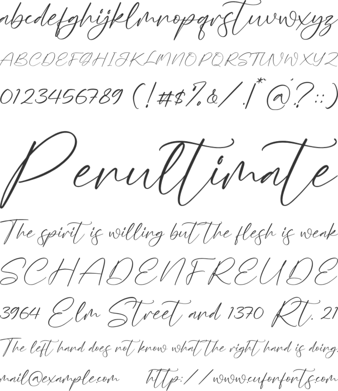 Tokushima Arigatou font preview