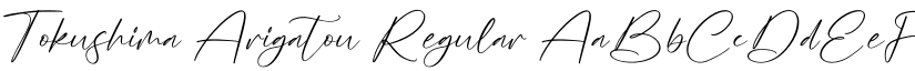 Tokushima Arigatou Regular font