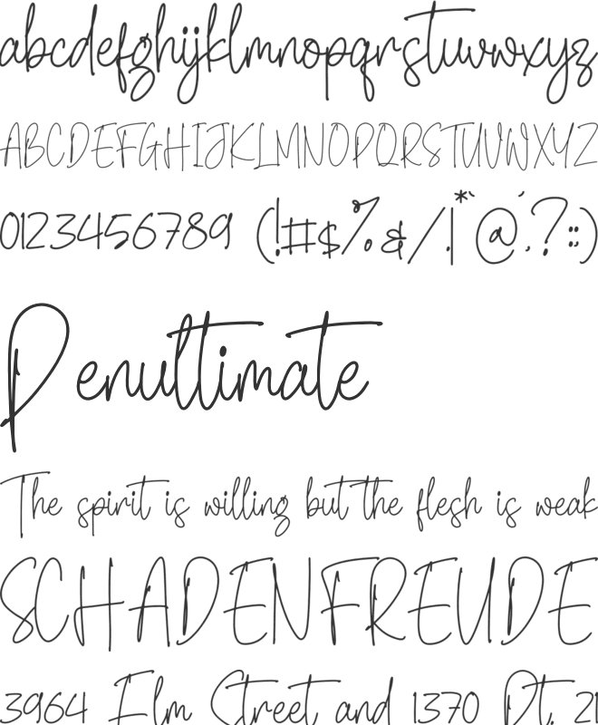 North Amsterdam font preview