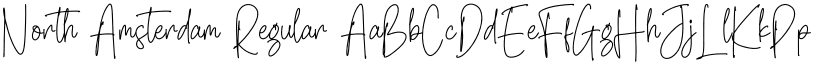 North Amsterdam Regular font