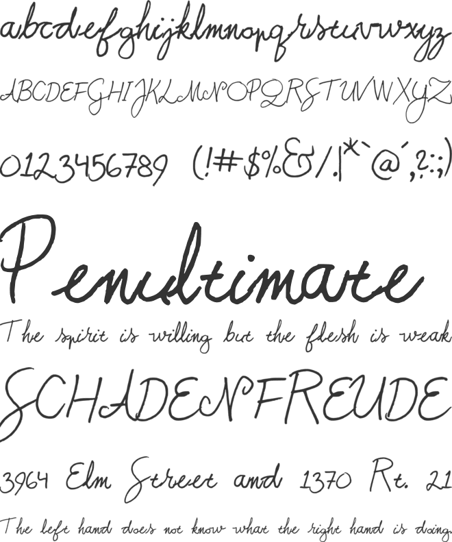 Summer Script 22 font preview