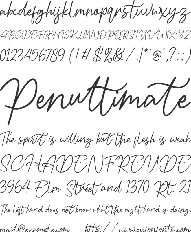 Havioleta Handwritten Free font preview