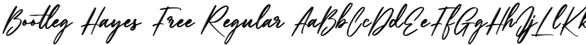 Bootleg Hayes Free Regular font