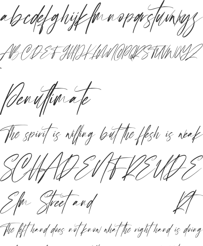Sellyamor Free font preview