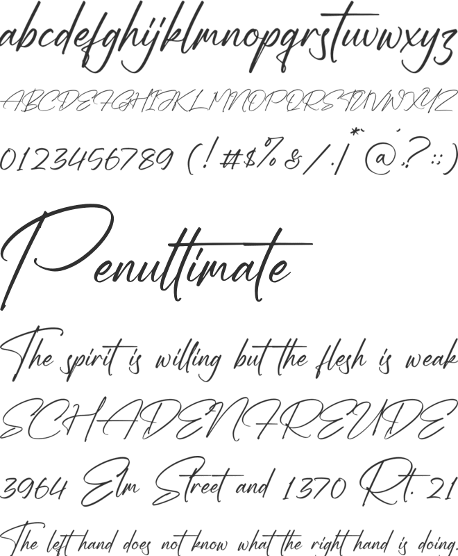 Sallinas Franklyn font preview