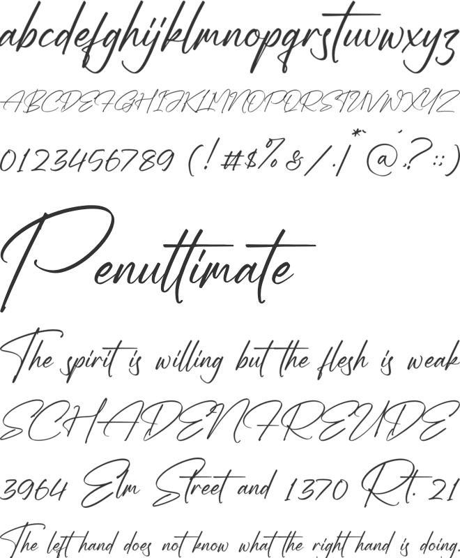 Sallinas Franklyn font preview