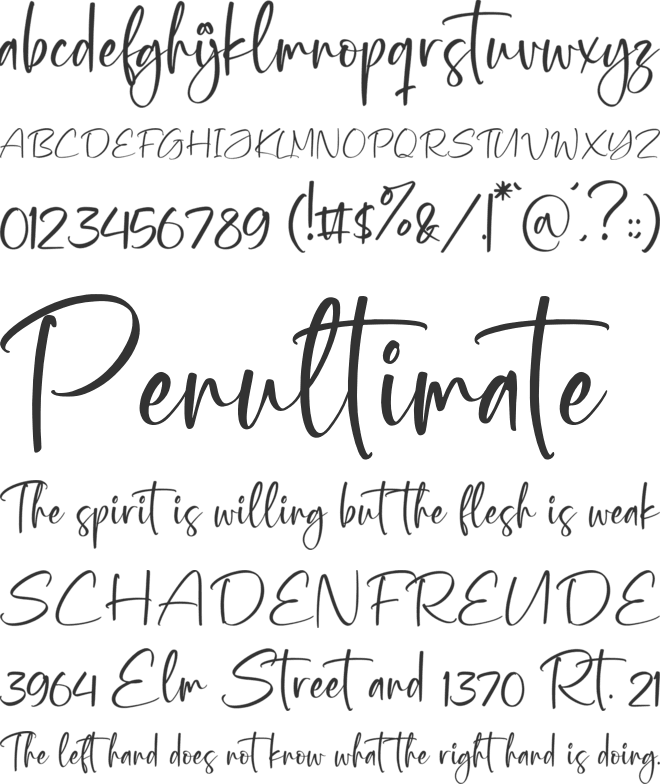 the burnley font preview