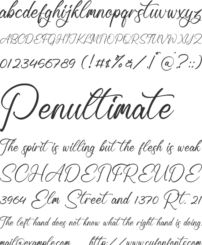 Ronald Mendoya font preview