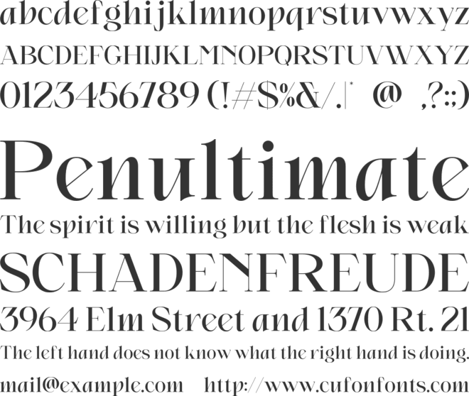 Rimon Dustin font preview