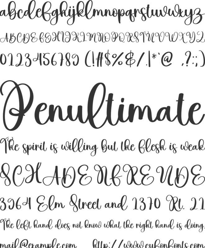 Narrative font preview