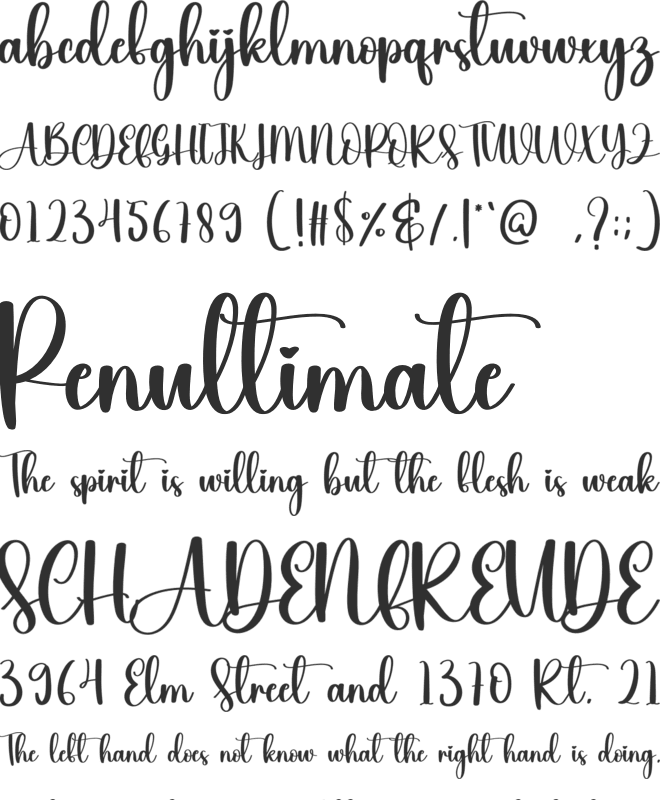 Flowerpink font preview