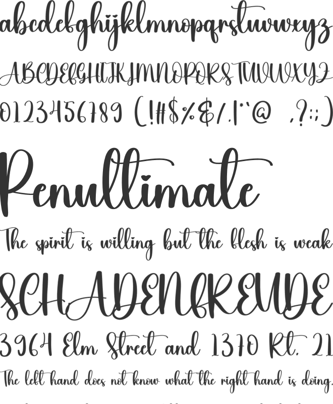 Flowerpink font preview