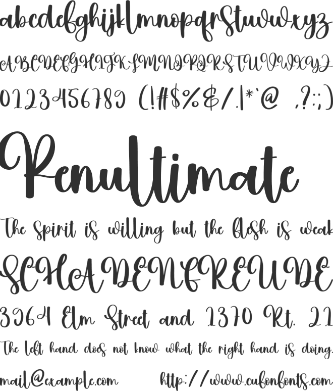 Brittney font preview