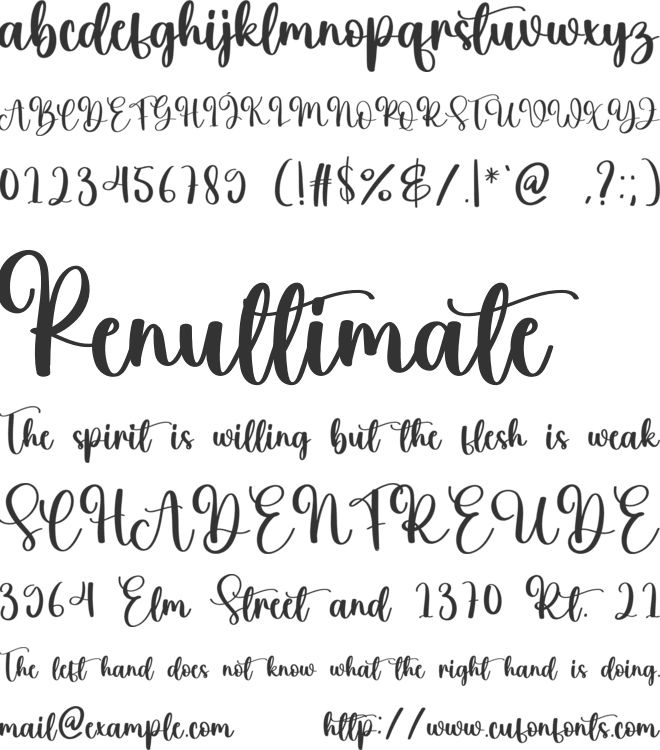 Branding font preview