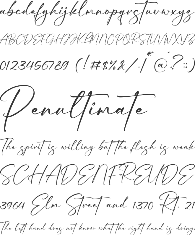 Vallenzuela font preview