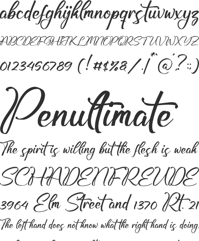 Armstroing font preview