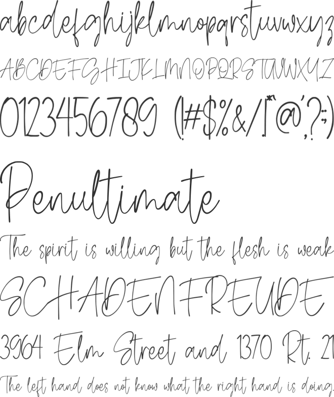 Scoutlight font preview