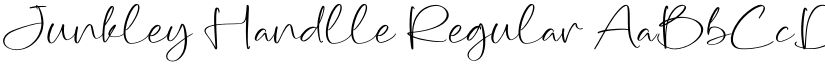 Junkley Handlle Regular font