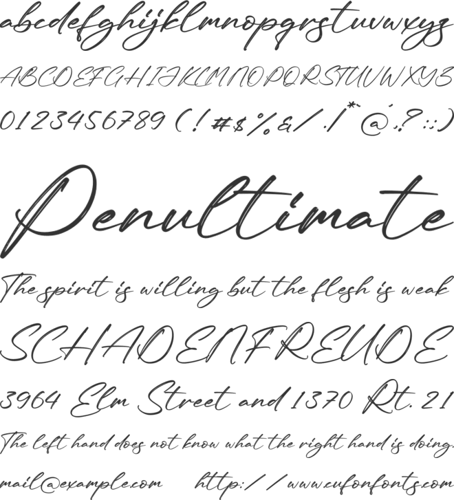 Rodriguez Xavier font preview